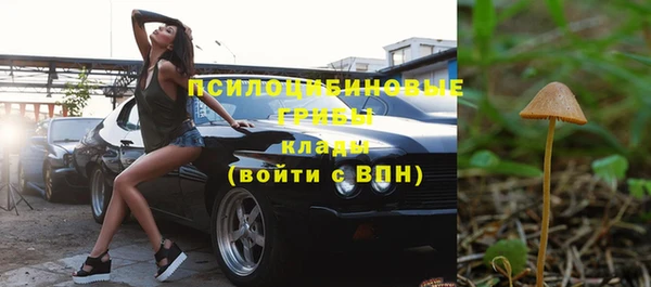 прущие грибы Балабаново