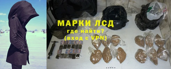 прущие грибы Балабаново