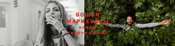 прущие грибы Балабаново