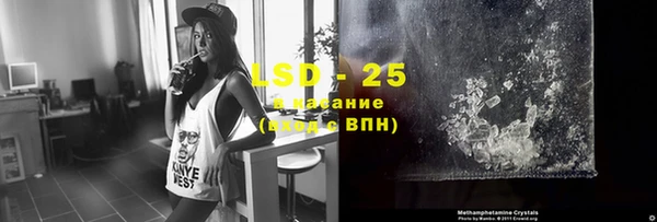 прущие грибы Балабаново