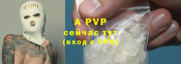 прущие грибы Балабаново