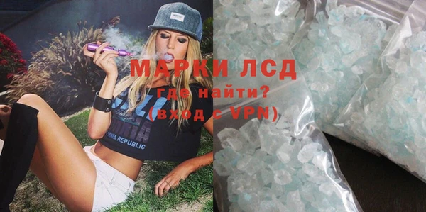 прущие грибы Балабаново