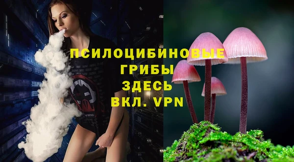 прущие грибы Балабаново