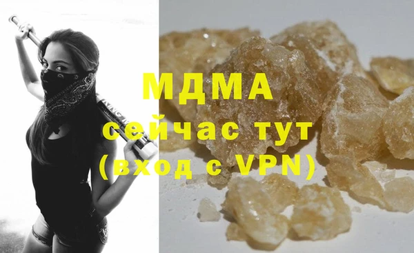 прущие грибы Балабаново