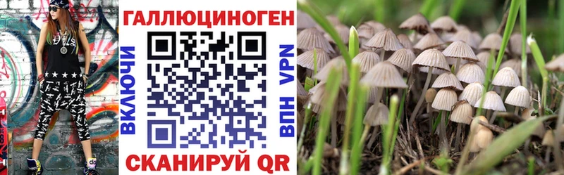 Псилоцибиновые грибы Magic Shrooms  Тихвин 